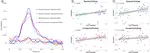 Representational pattern similarity of electrical brain activity reveals rapid and specific prediction during language comprehension