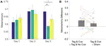 One-Shot Tagging During Wake and Cueing During Sleep With Spatiotemporal Patterns of Transcranial Electrical Stimulation Can Boost Long-Term Metamemory of Individual Episodes in Humans